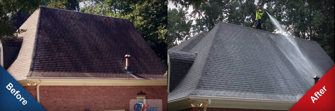 Eco-Friendly Roof Cleaning