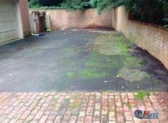 Dirty asphalt driveway with green algae before pressure washing