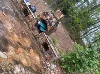 Dirty stone patio before pressure washing
